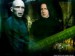 Tom a Severus.jpg